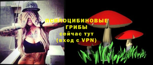 твердый Уссурийск
