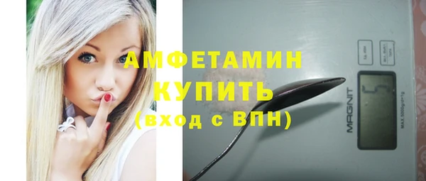 гидра Липки