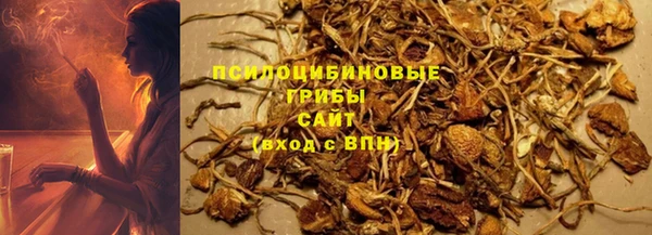 гидра Липки