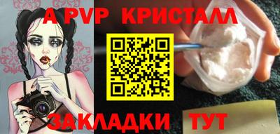 ECSTASY Аргун