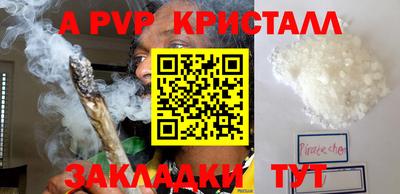 ECSTASY Аргун