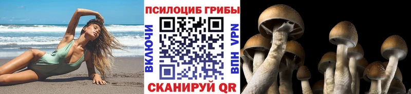 Галлюциногенные грибы Cubensis  дарнет шоп  Белорецк 