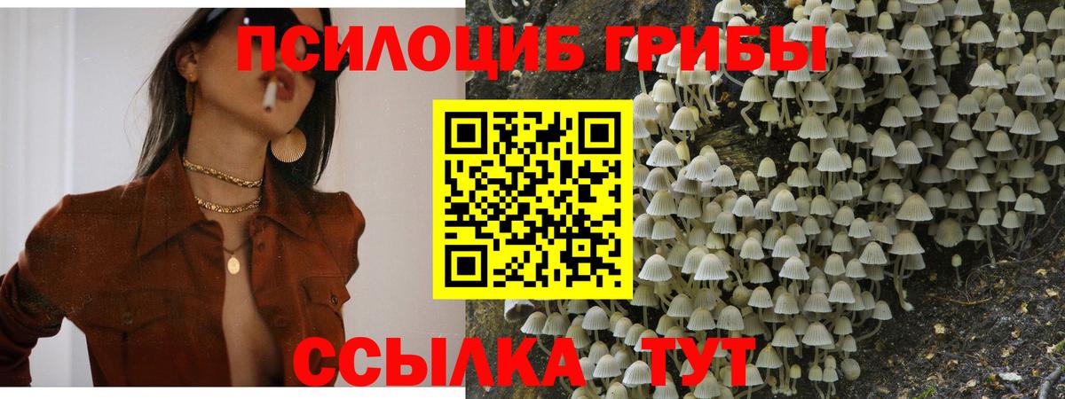 Псилоцибиновые грибы Magic Shrooms Белорецк
