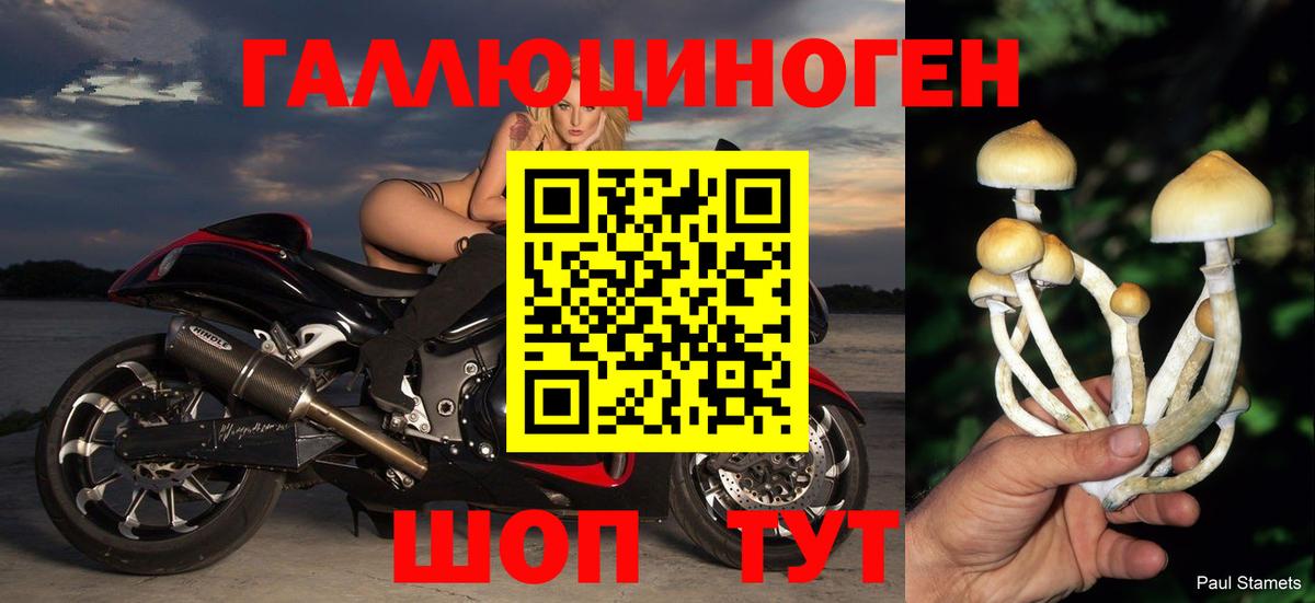 Белорецк  Галлюциногенные грибы Cubensis  Вход с VPN 
